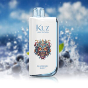 Kuz LUX 9000 Puffs