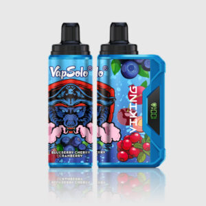 VapSolo VIKING 12000 Puffs
