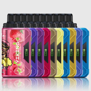 VapSolo VIKING 12000 Puffs